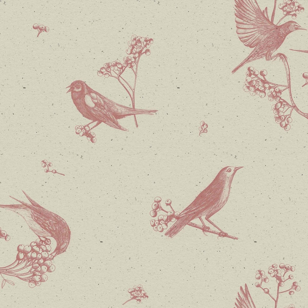 Coordonné Naturae Sweet Birds behang 9500070 - LAB COLOUR THE WORLD