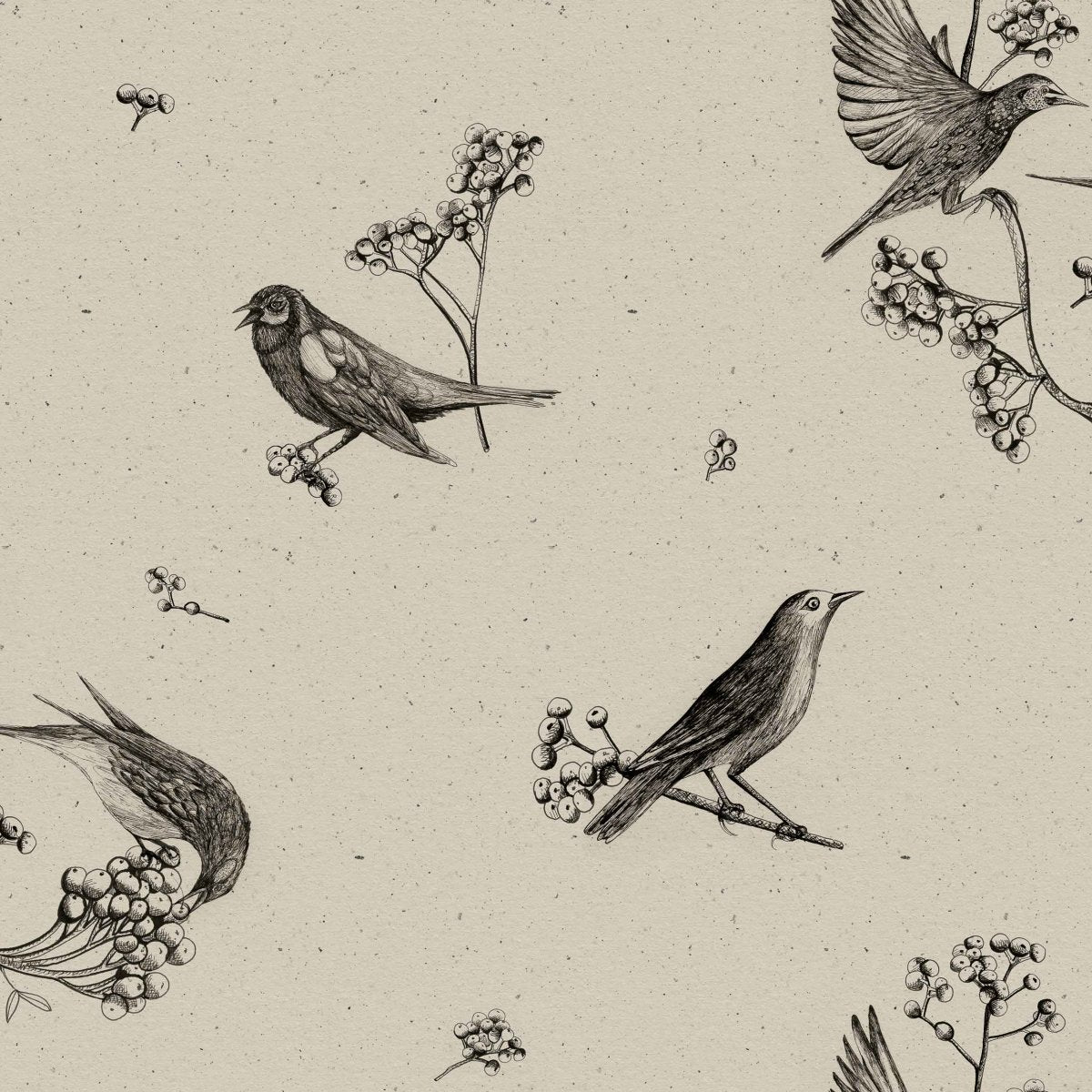 Coordonné Naturae Sweet Birds behang 9500072 - LAB COLOUR THE WORLD