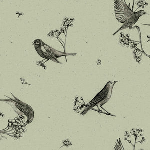 Coordonné Naturae Sweet Birds behang 9500073 - LAB COLOUR THE WORLD