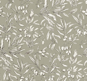 Coordonné Olivar Aceituna behang A00502 - LAB COLOUR THE WORLD