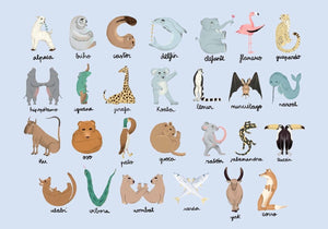Coordonné Random Kids Animal Alphabet Azure behang 9700142 - LAB COLOUR THE WORLD