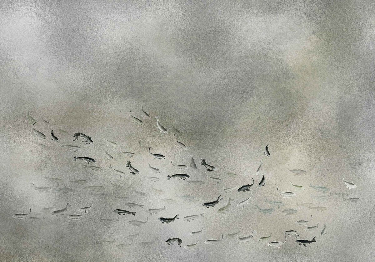 Coordonné Random Metallics Koi Silver behang 9600061 - LAB COLOUR THE WORLD