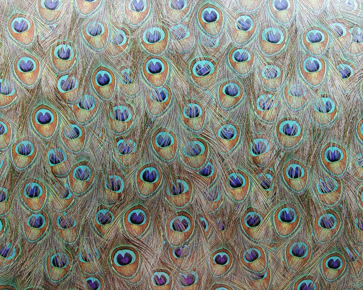 Coordonné Random Metallics Peafowl Silver behang 9600091 - LAB COLOUR THE WORLD