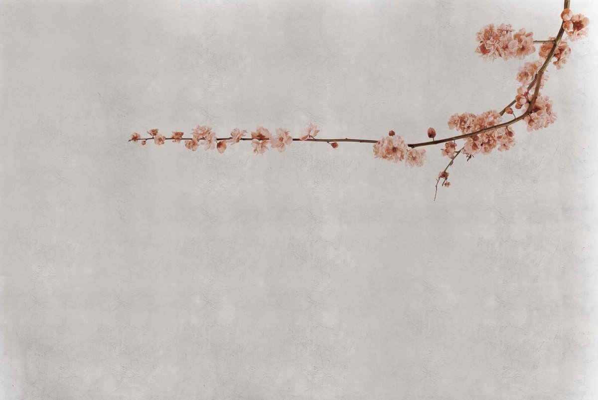 Coordonné Random Papers Blossom branch behang 6500308 - LAB COLOUR THE WORLD