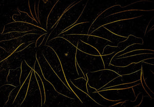 Coordonné Random Papers II Abstract Flora behang 6800409 - LAB COLOUR THE WORLD