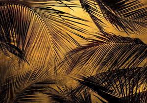 Coordonné Random Papers II Palms behang 6800401 - LAB COLOUR THE WORLD