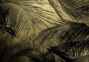 Coordonné Random Papers II Palms behang 6800402 - LAB COLOUR THE WORLD