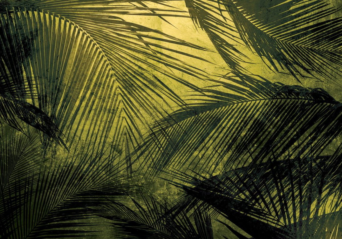 Coordonné Random Papers II Palms behang 6800403 - LAB COLOUR THE WORLD