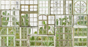 Coordonné Random Papers II Window Flora behang 6800404 - LAB COLOUR THE WORLD