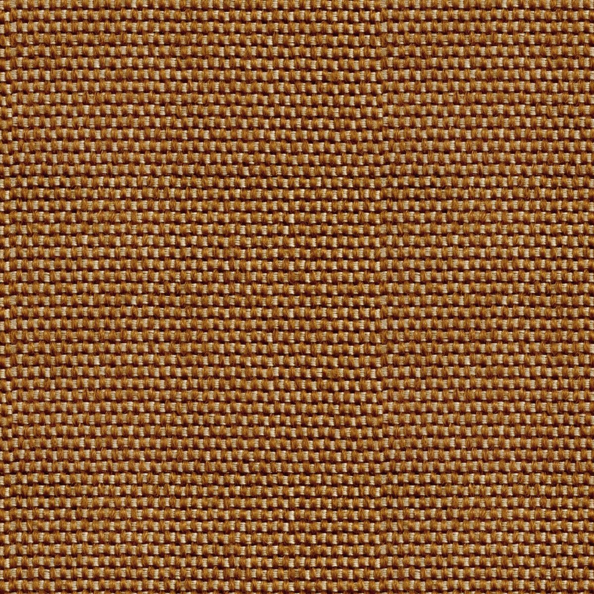 Coordonné Sarape Yuca behang C00036 - LAB COLOUR THE WORLD