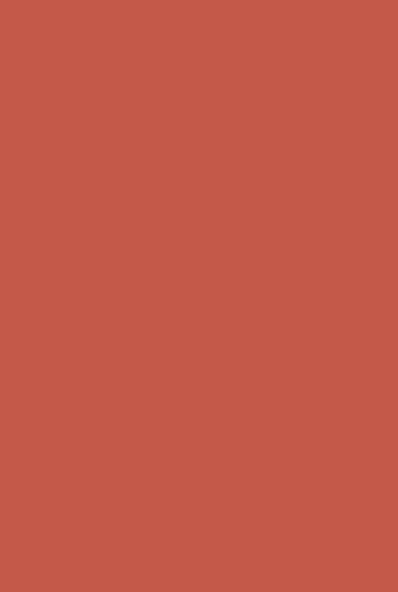 Copenhagen Roof no. 9816 - LAB COLOUR THE WORLD