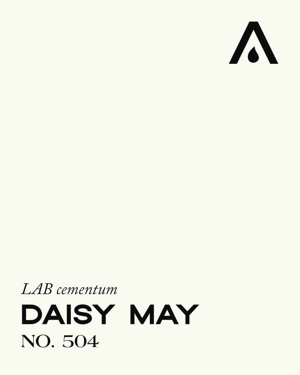 DAISY MAY NO. 504 - LAB COLOUR THE WORLD