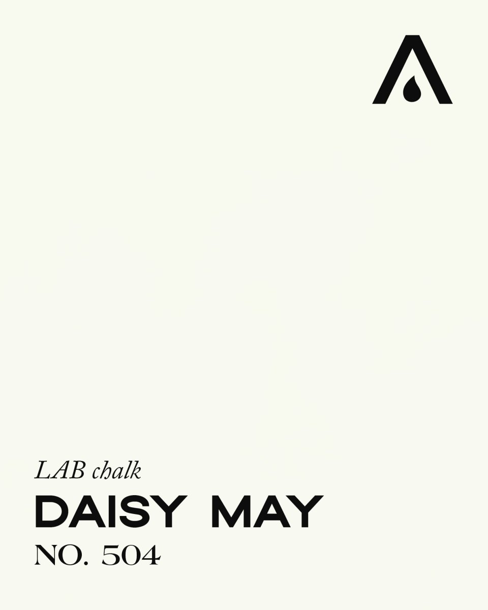 DAISY MAY NO. 504 - LAB COLOUR THE WORLD