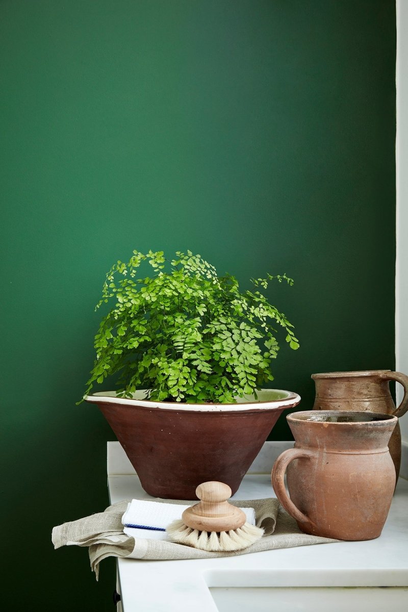 Dark Brunswick Green no. 88 - LAB COLOUR THE WORLD