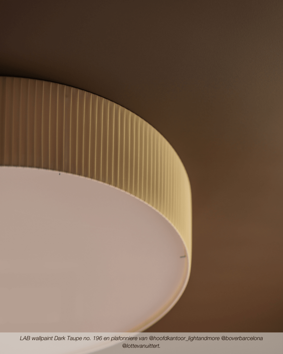 DARK TAUPE NO. 196 - LAB COLOUR THE WORLD