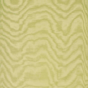 Dedar Amoir Fou Behang 02D2080600018 - LAB COLOUR THE WORLD