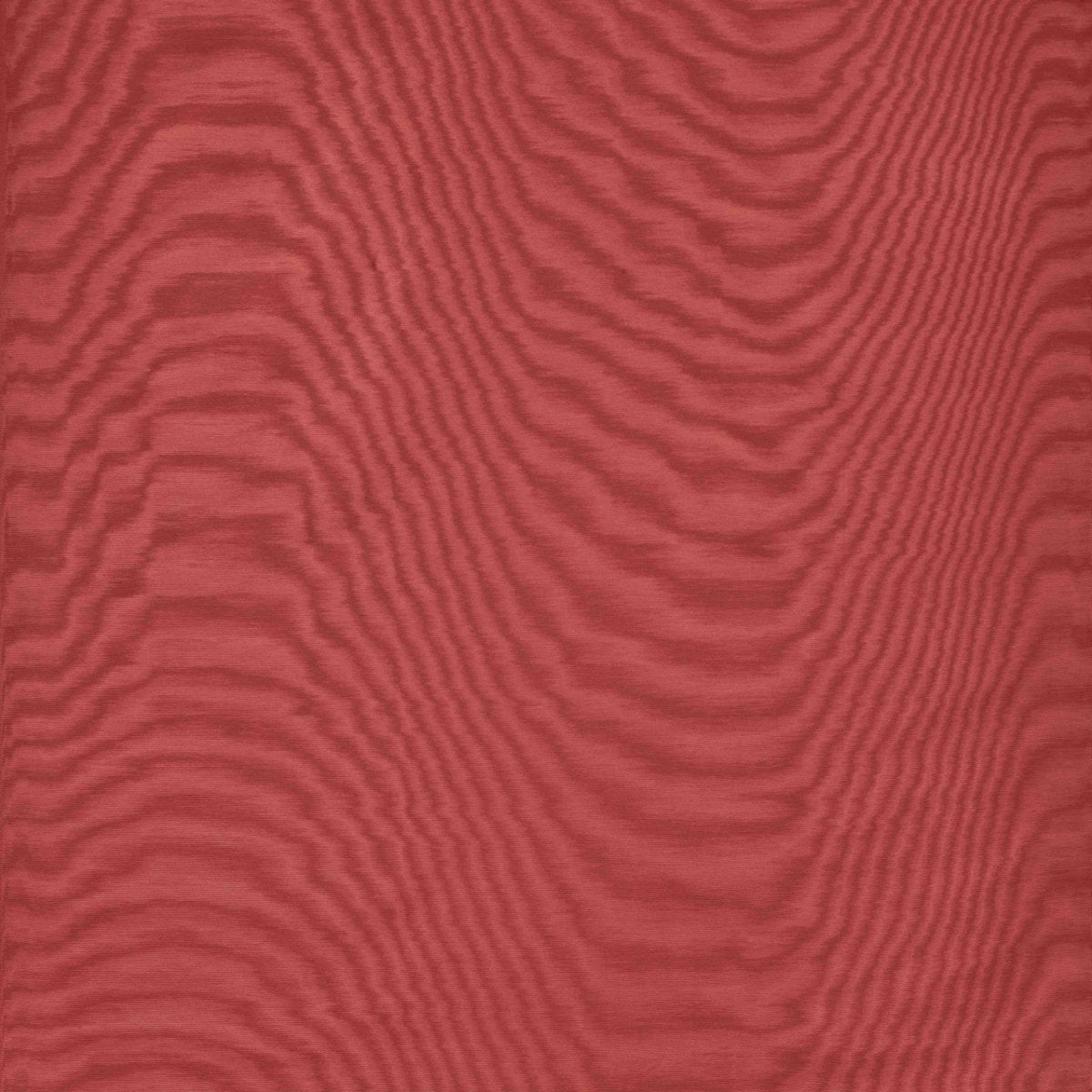 Dedar Amoir Fou Behang 02D2080600022 - LAB COLOUR THE WORLD