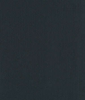 Dedar Toile Bâche Behang 02D2200700004 - LAB COLOUR THE WORLD