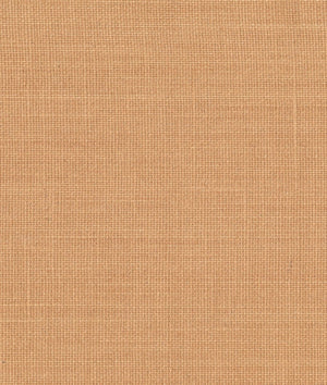 Dedar Toile Bâche Behang 02D2200700008 - LAB COLOUR THE WORLD