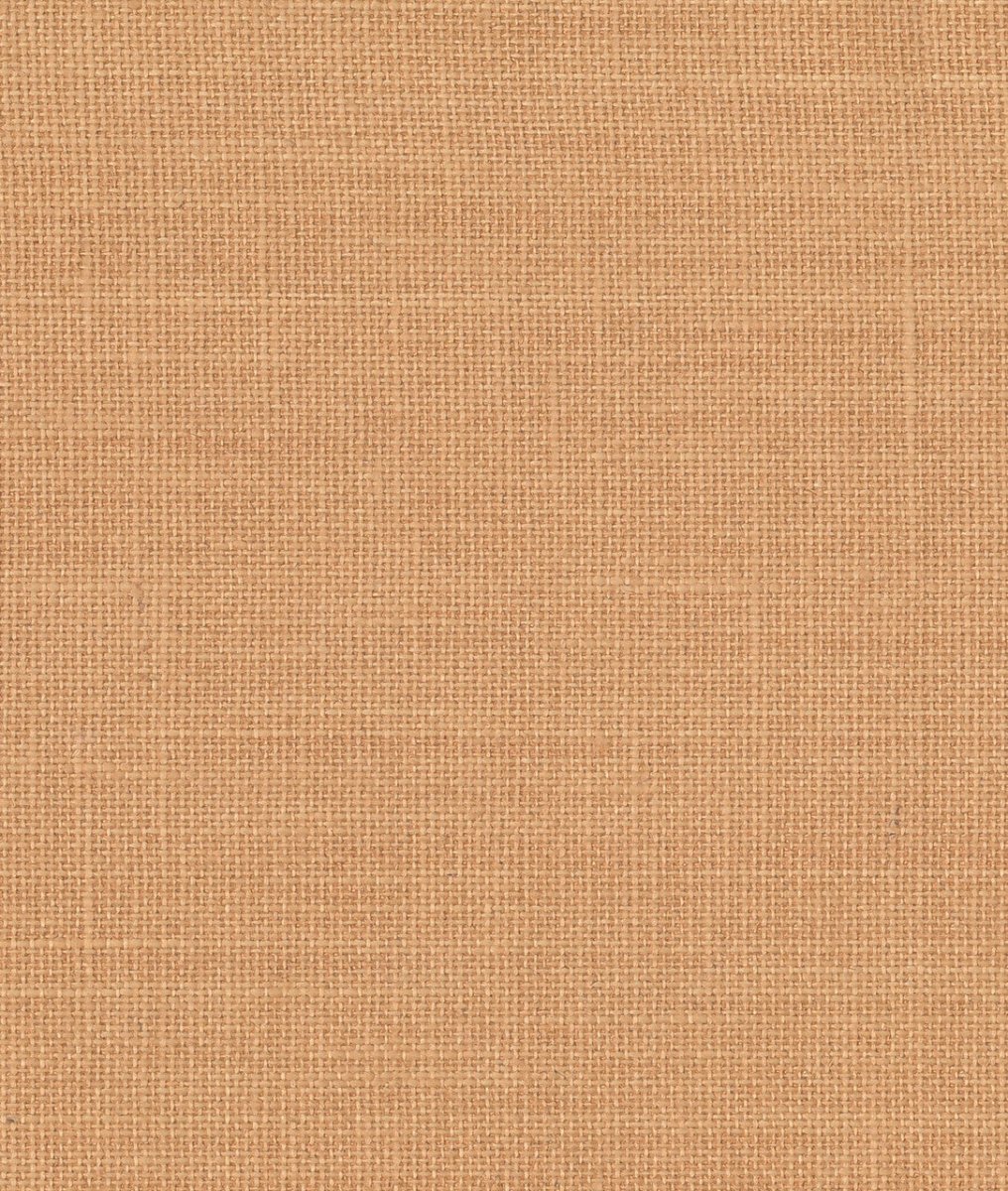 Dedar Toile Bâche Behang 02D2200700008 - LAB COLOUR THE WORLD