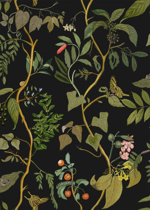 Coordonné Maximalism Diderot behang 9300014 behang afbeelding 1