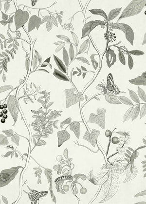 Coordonné Maximalism Diderot behang 9300012 behang afbeelding 1