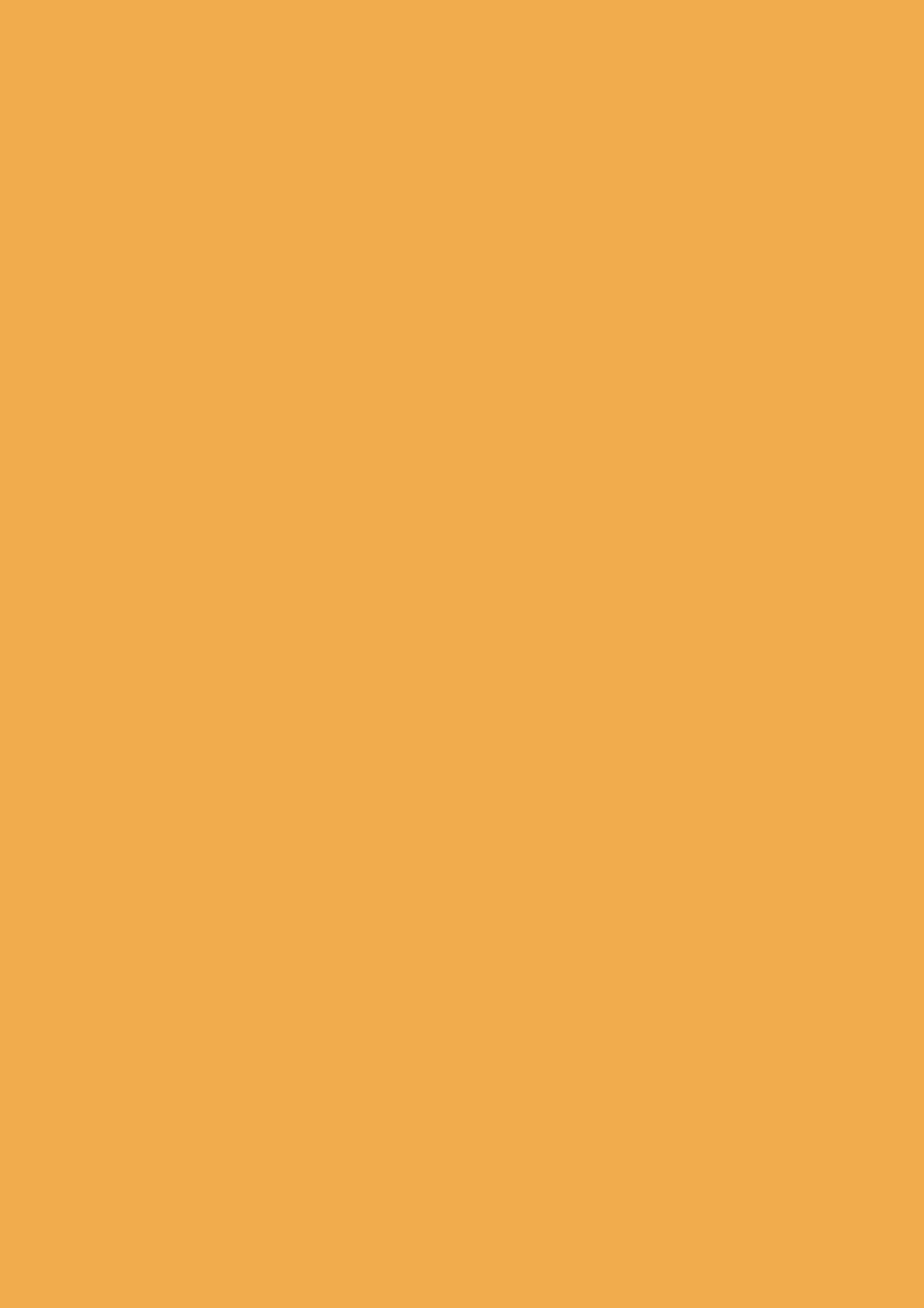 Dutch Orange no. W76 - LAB COLOUR THE WORLD