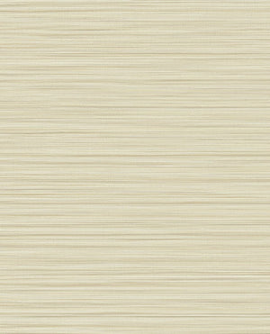 EIJFFINGER Cozumel 50531 - LAB COLOUR THE WORLD
