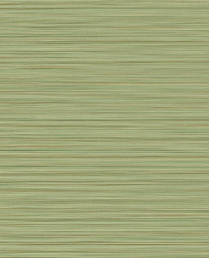 EIJFFINGER Cozumel 50541 - LAB COLOUR THE WORLD