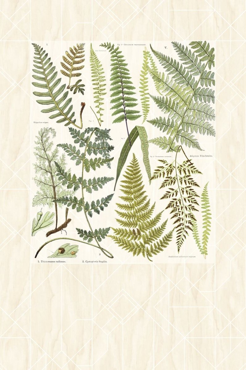 Eijffinger GEONATURE behang 366102 - LAB COLOUR THE WORLD
