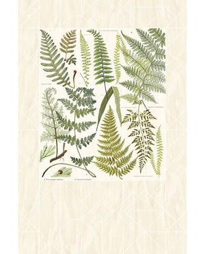 Eijffinger GEONATURE behang 366102 - LAB COLOUR THE WORLD