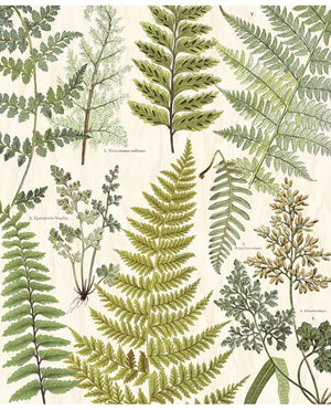 Eijffinger GEONATURE behang 366104 - LAB COLOUR THE WORLD
