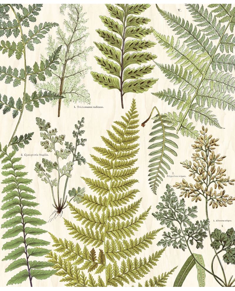 Eijffinger GEONATURE behang 366104 - LAB COLOUR THE WORLD