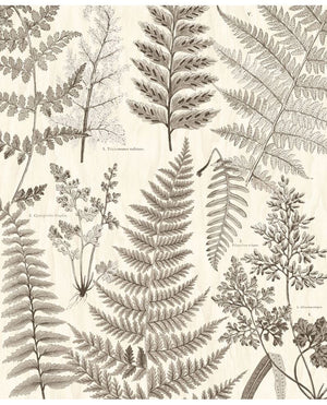 Eijffinger GEONATURE behang 366105 - LAB COLOUR THE WORLD