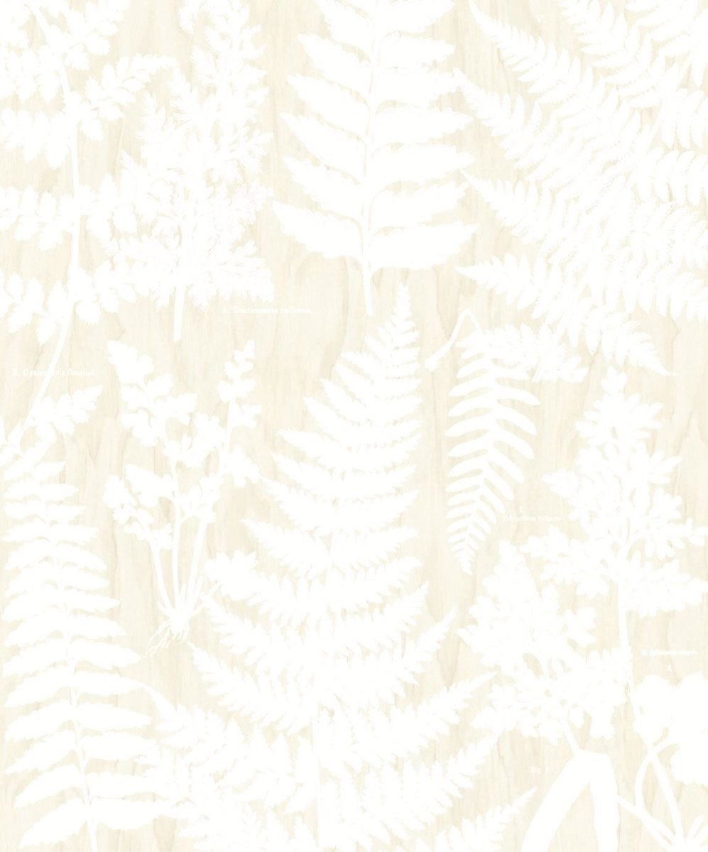 Eijffinger GEONATURE behang 366106 - LAB COLOUR THE WORLD