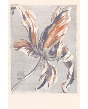 Eijffinger MASTERPIECE behang 358116 - LAB COLOUR THE WORLD