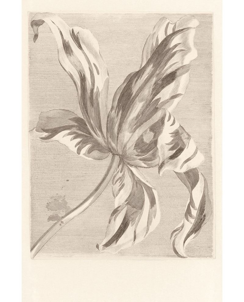 Eijffinger MASTERPIECE behang 358117 - LAB COLOUR THE WORLD