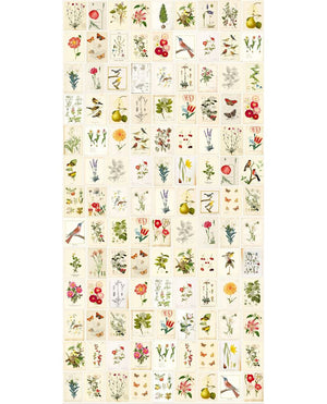Eijffinger PIP STUDIO 3 behang 341086 - LAB COLOUR THE WORLD