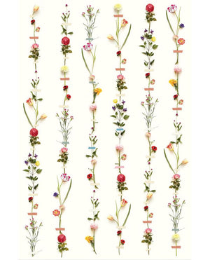Eijffinger PIP STUDIO 3 behang 341087 - LAB COLOUR THE WORLD