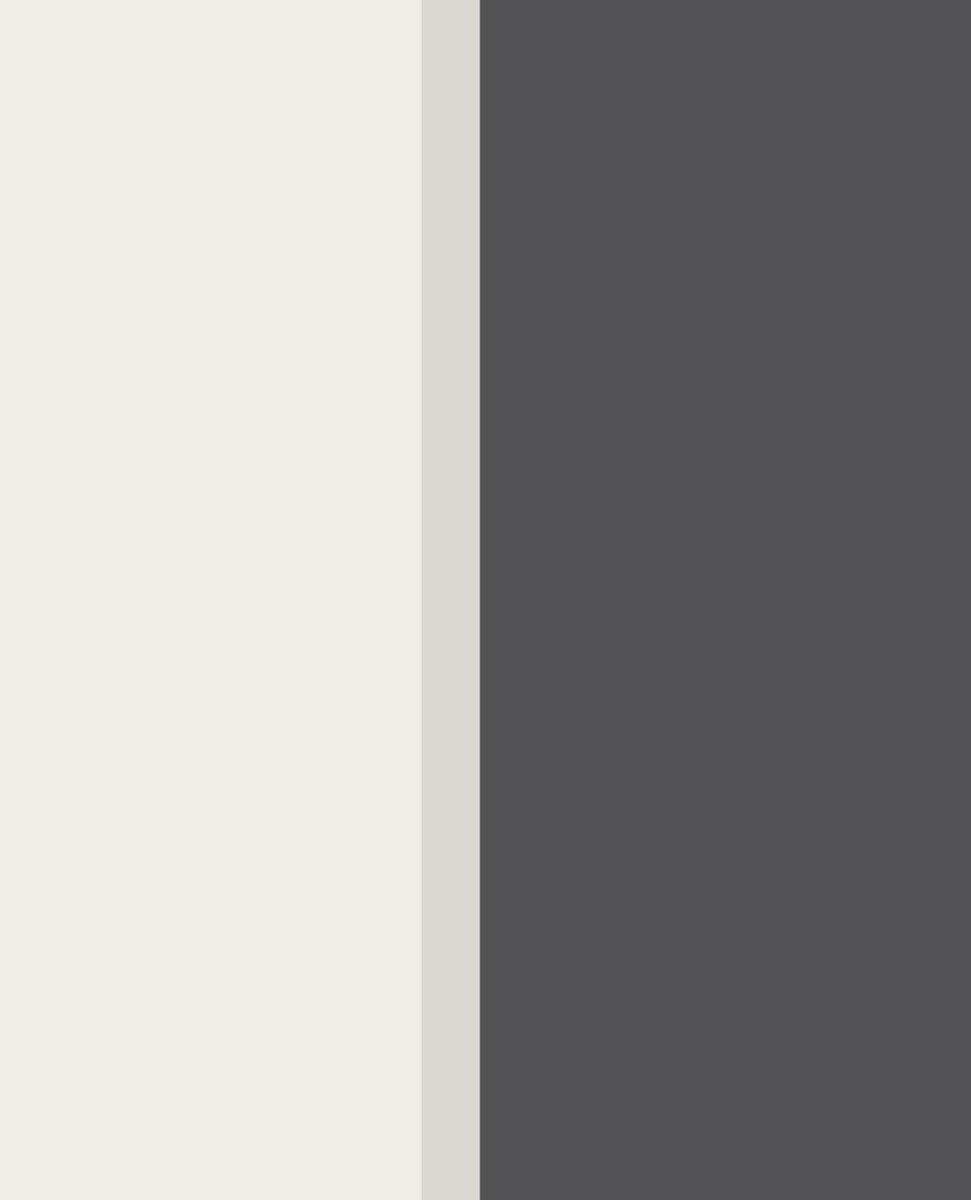 EIJFFINGER Stripes+ 377166 - LAB COLOUR THE WORLD