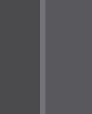 EIJFFINGER Stripes+ 377167 - LAB COLOUR THE WORLD