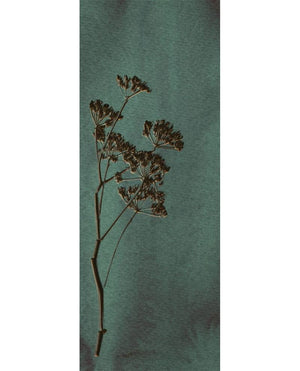 Eijffinger WALLPOWER FAVOURITES behang 309024 - LAB COLOUR THE WORLD