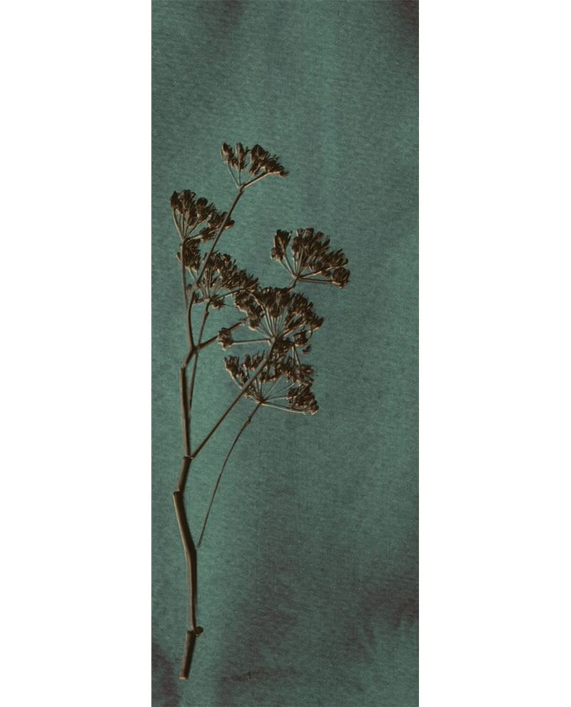 Eijffinger WALLPOWER FAVOURITES behang 309024 - LAB COLOUR THE WORLD