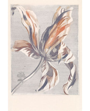 Eijffinger WALLPOWER FAVOURITES behang 309031 - LAB COLOUR THE WORLD