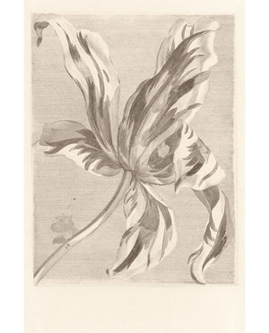 Eijffinger WALLPOWER FAVOURITES behang 309032 - LAB COLOUR THE WORLD