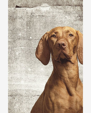 Eijffinger WALLPOWER JUNIOR behang 364124 - LAB COLOUR THE WORLD