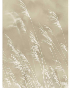 Eijffinger WATERFRONT behang 300900 - LAB COLOUR THE WORLD