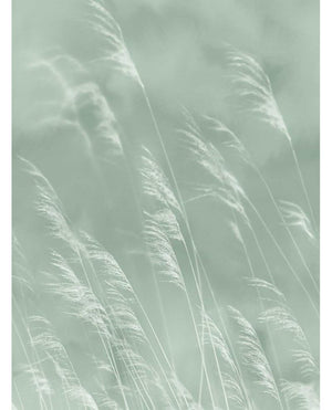 Eijffinger WATERFRONT behang 300901 - LAB COLOUR THE WORLD