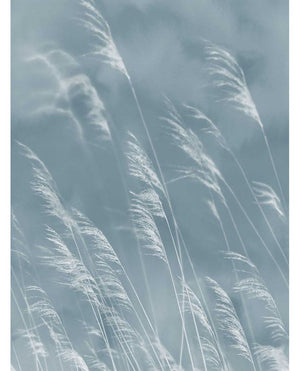 Eijffinger WATERFRONT behang 300902 - LAB COLOUR THE WORLD
