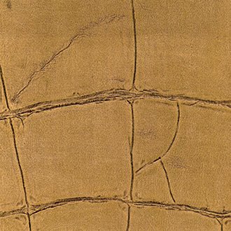 ÉLITIS Big Croco Project Behang CV 105 08 - LAB COLOUR THE WORLD